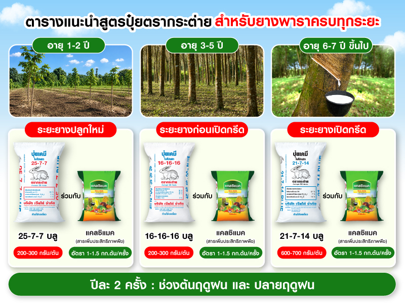ตารางแนะนำสูตรปุ๋ยตรากระต่าย ส่าหรับยางพาราครบทุกระยะ