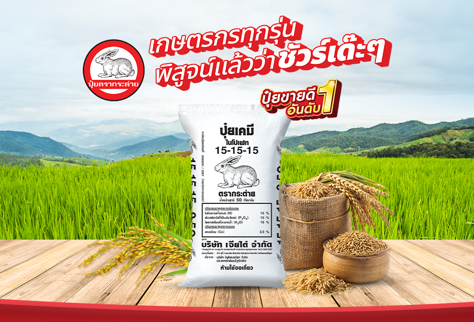 ด้วยปุ๋ยคุณภาพ "ปุ๋ยตรากระต่าย" ปุ๋ยขายดีอันดับ1 ที่เกษตรกรทุกรุ่นพิสูจน์แล้วว่าชัวร์เด๊ะๆ