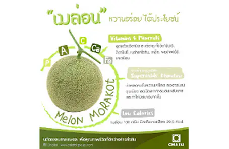 เมล่อน หวานอร่อย ได้ประโยชน์