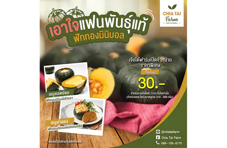 โปรโมชั่นฟักทองมินิบอลเจียไต๋