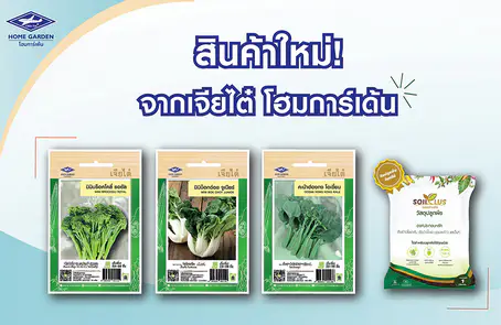 สินค้าใหม่ เมล็ดพันธุ์เจียไต๋ โฮมการ์เด้น มิถุนายน 2564