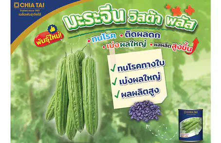 เจียไต๋ เปิดตัวเมล็ดพันธุ์น้องใหม่ “มะระจีน วิสต้า พลัส”